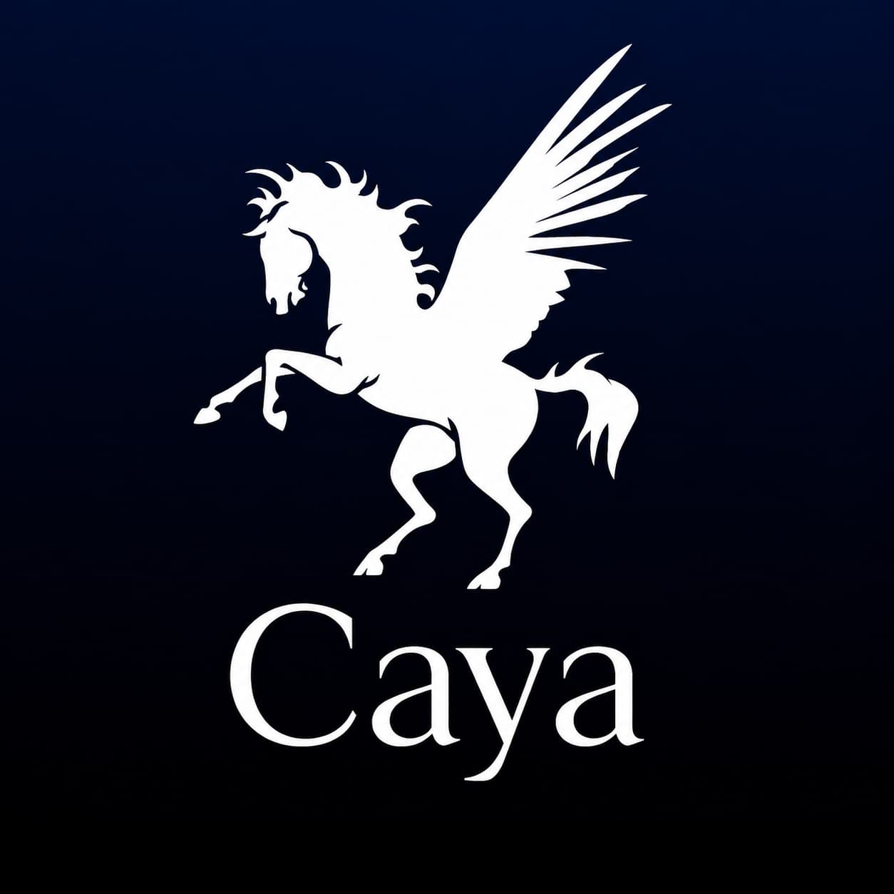 Caya logo — Forex PCI DSS Level 3 Compliance portfolio cover